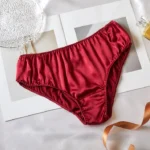 Ruby Pure Mulberry Silk Bikini Pantie